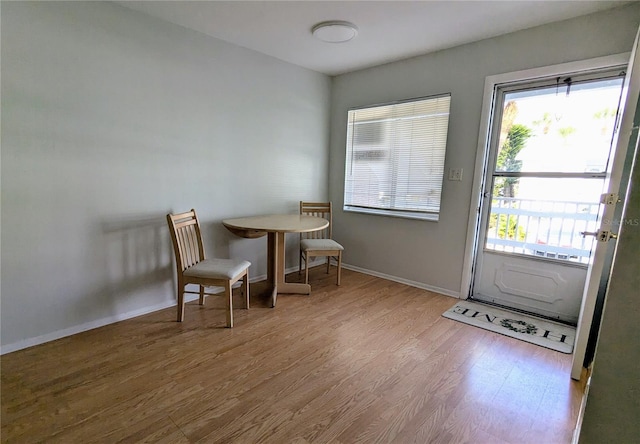 interior space with wood-type flooring