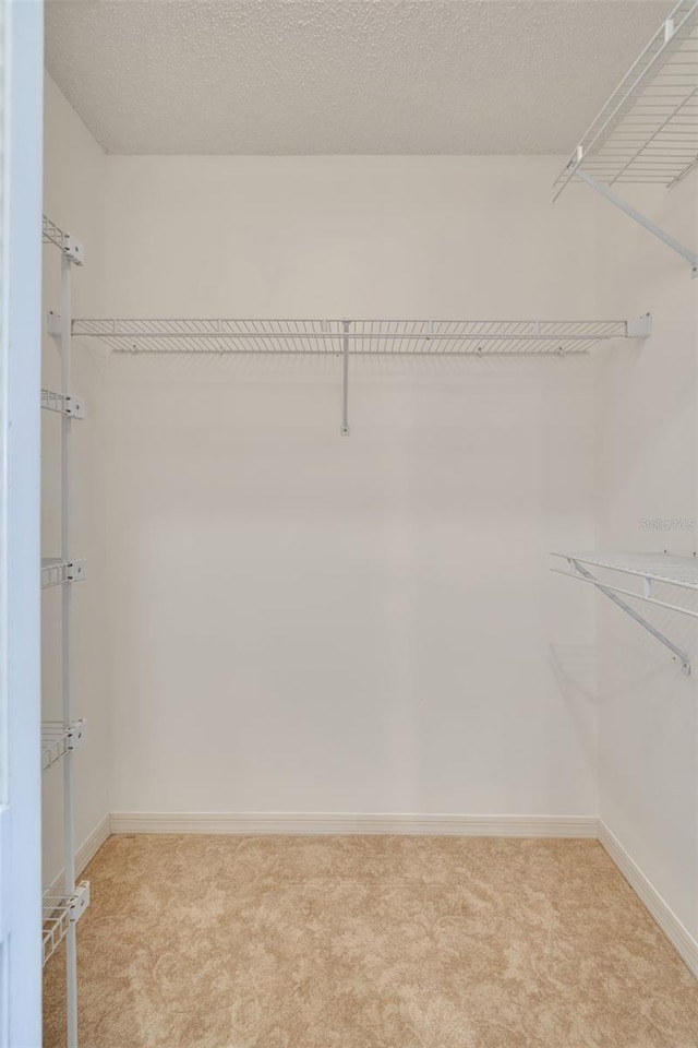 walk in closet featuring light carpet