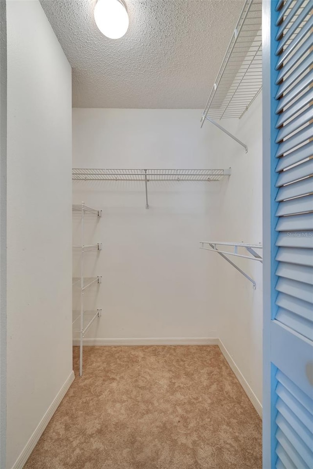 walk in closet with light colored carpet