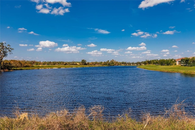 property view of water