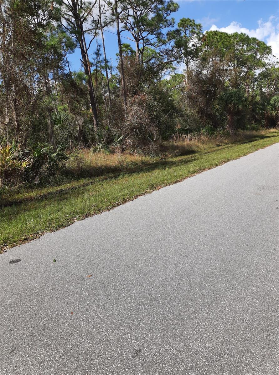 1099 Madeira St, Port Charlotte, FL 33953 - photo 3