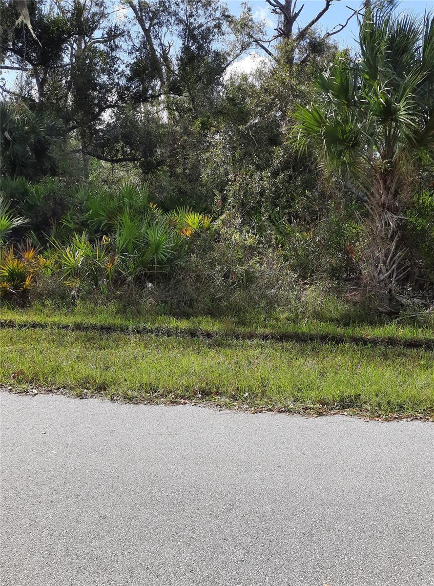 1099 Madeira St, Port Charlotte, FL 33953 - photo 4