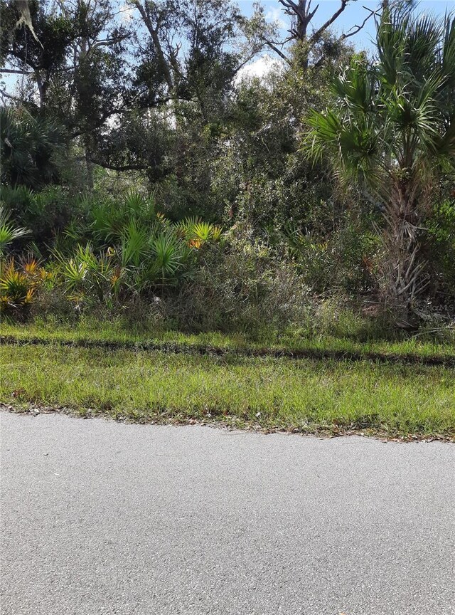 1099 Madeira St, Port Charlotte, FL 33953 - photo 4