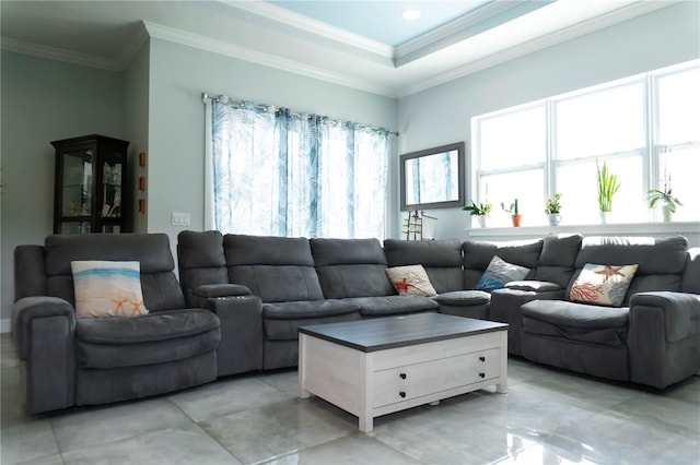 living room with ornamental molding