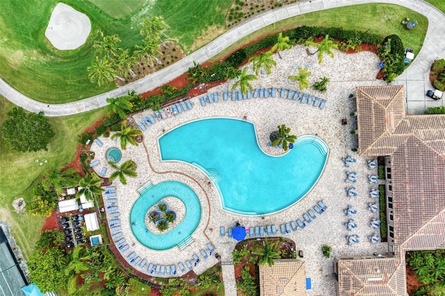 view of pool featuring a patio area