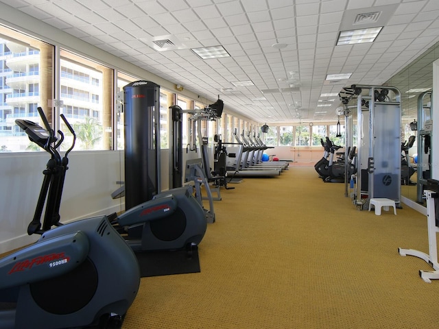 workout area featuring carpet and a drop ceiling