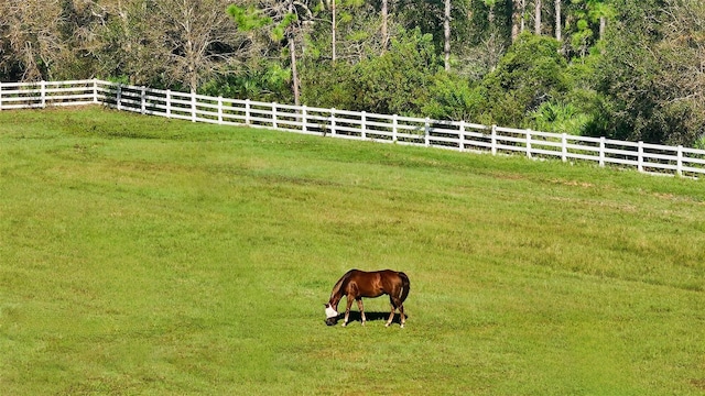 view of yard with a rural view