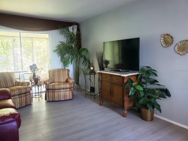 living room featuring light hardwood / wood-style flooring