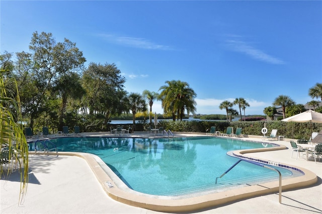 view of swimming pool with a patio area