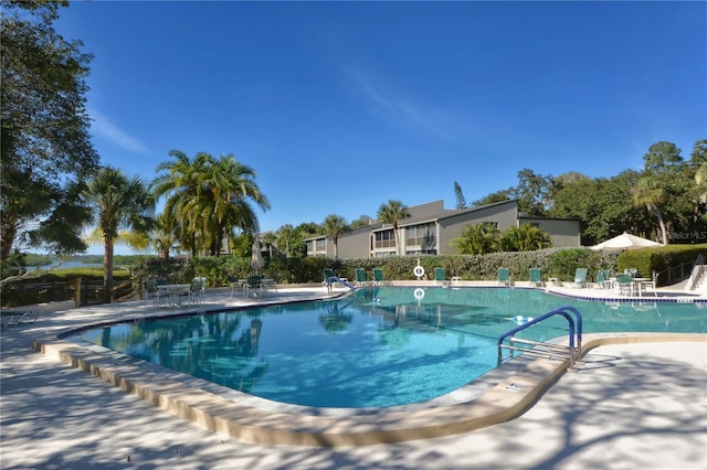 view of swimming pool featuring a patio