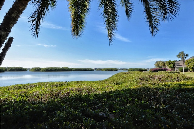 property view of water