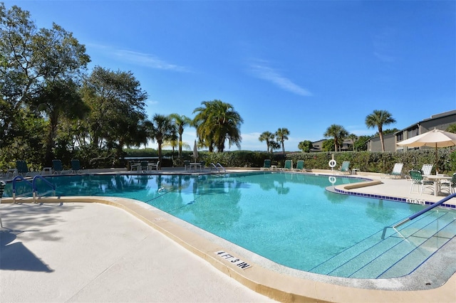 view of swimming pool featuring a patio area