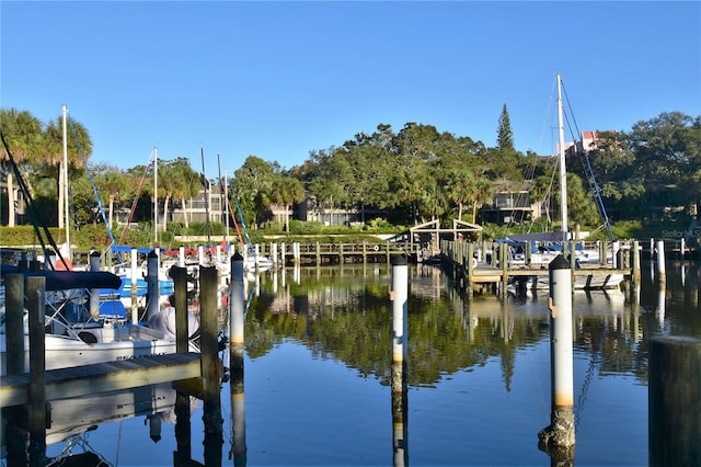 dock area with a water view