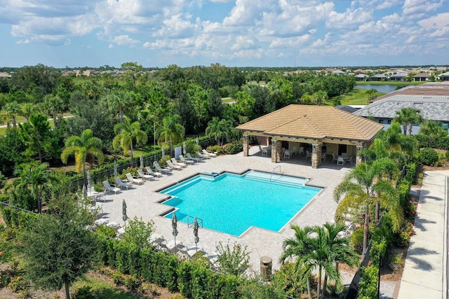 view of pool featuring a patio area and a water view