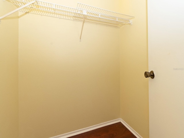 spacious closet with hardwood / wood-style floors