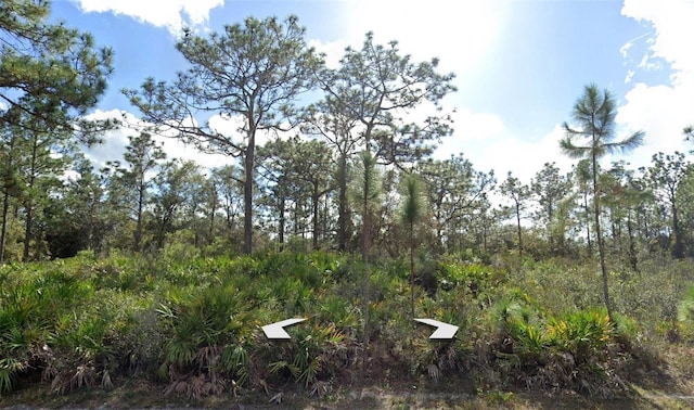 Listing photo 2 for 0 Plumosa Dr, Indian Lake Estates FL 33855