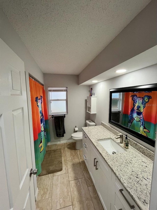 bathroom with vanity, a textured ceiling, and toilet