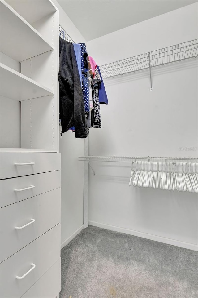 walk in closet featuring light colored carpet