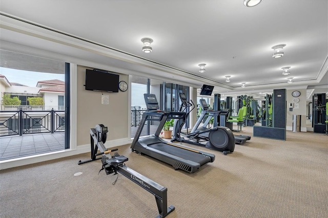 gym featuring carpet floors