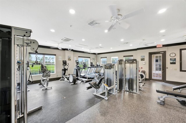 workout area with ceiling fan and crown molding