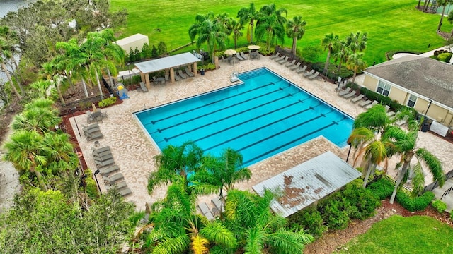 view of swimming pool with a patio area and a yard