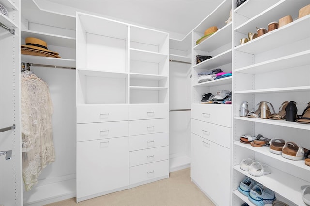 view of walk in closet