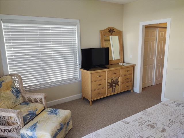 bedroom featuring carpet