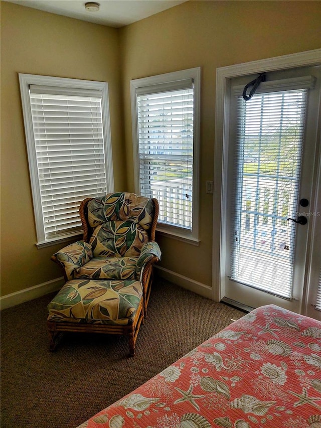 interior space with carpet and a healthy amount of sunlight