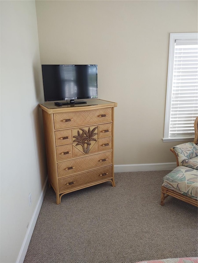 sitting room with dark carpet