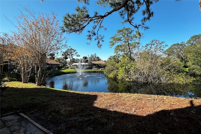 property view of water