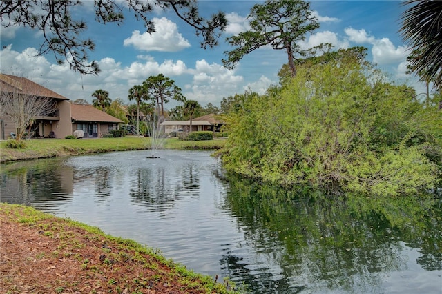 property view of water