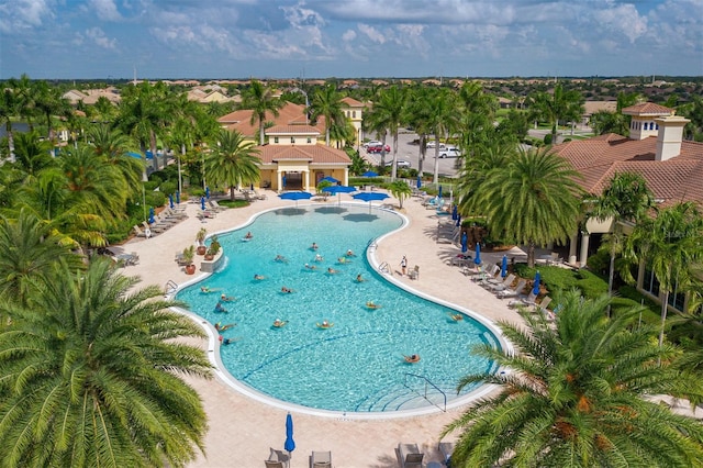 view of swimming pool with a patio area