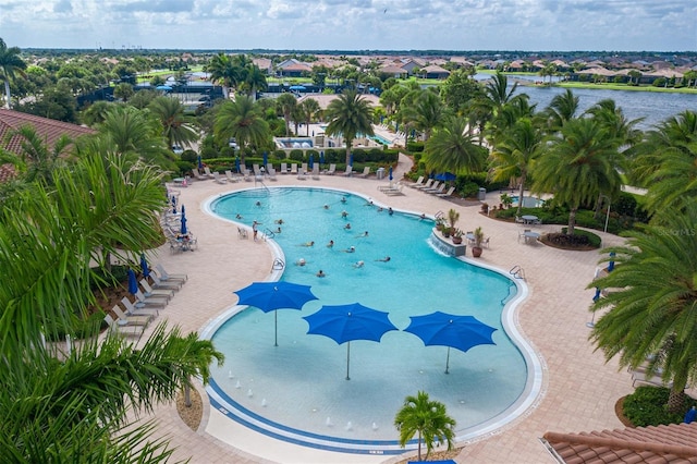 view of pool featuring a patio