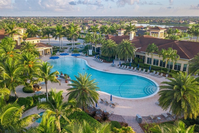 view of pool with a patio area