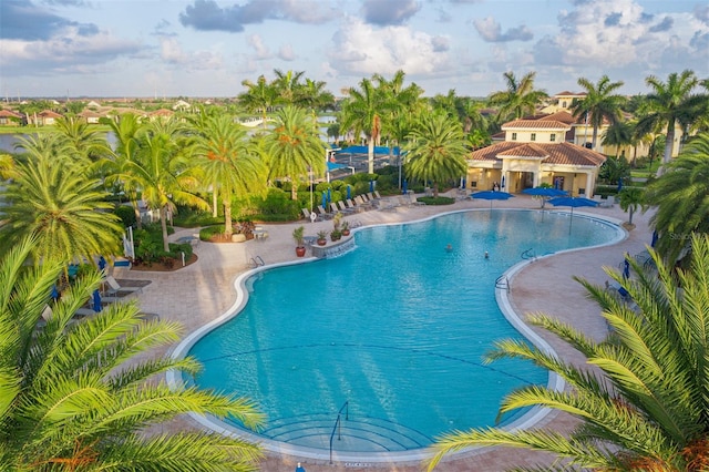 view of pool with a patio