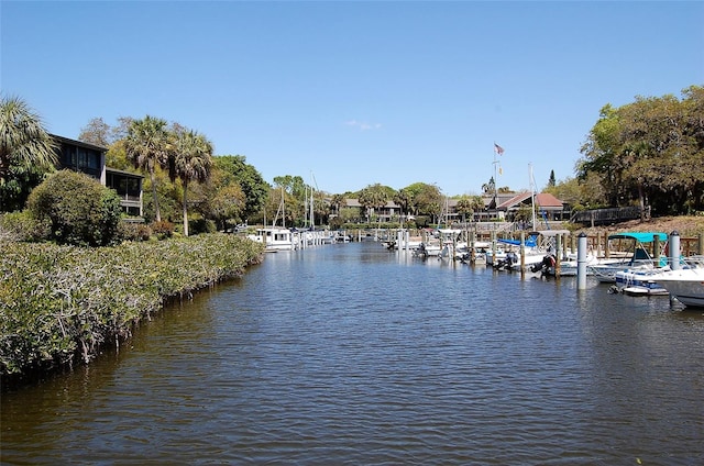 property view of water featuring a boat dock