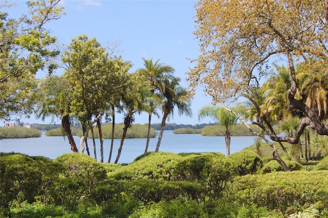 view of water feature