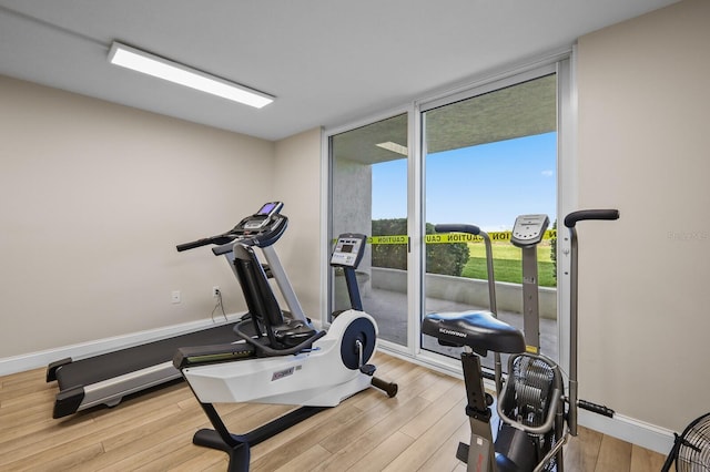 workout area with hardwood / wood-style flooring and floor to ceiling windows