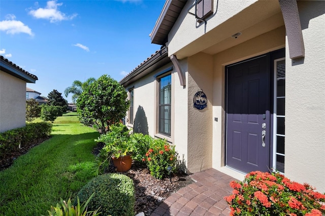 view of exterior entry with a yard