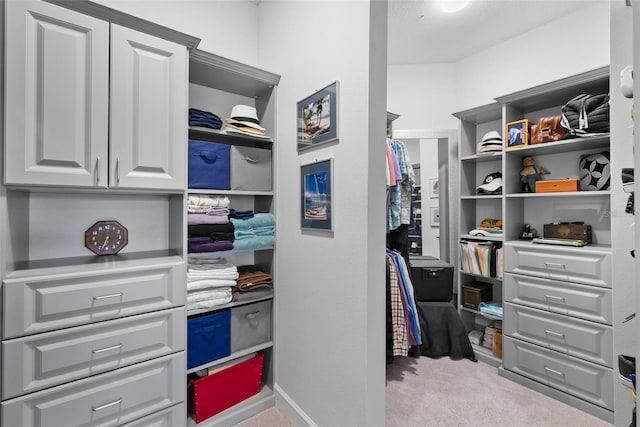 spacious closet featuring light carpet