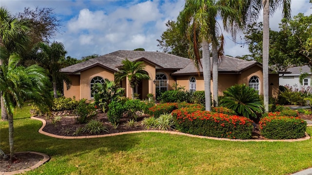 view of front facade featuring stucco siding and a front yard