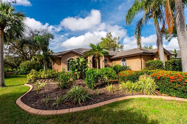 single story home with a front lawn