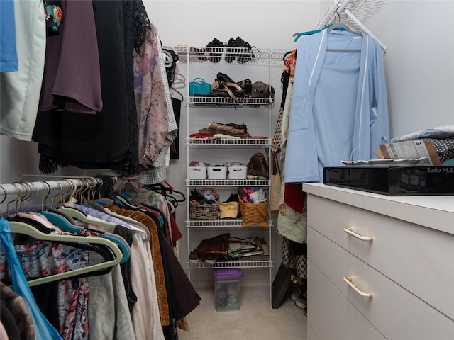 spacious closet with carpet flooring