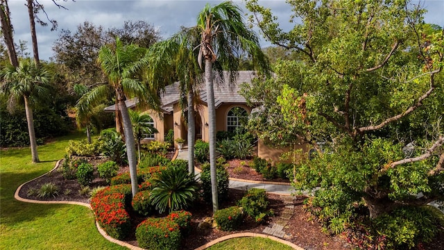 view of front of house with a front yard