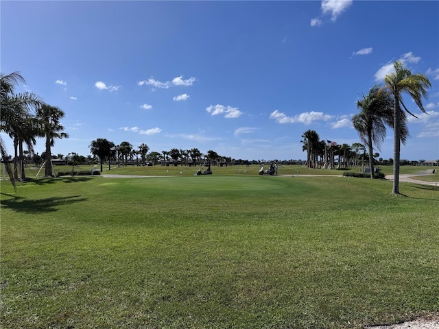 view of property's community with a yard