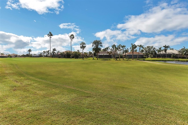 view of community with a lawn