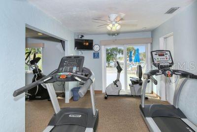 workout room with carpet flooring and ceiling fan