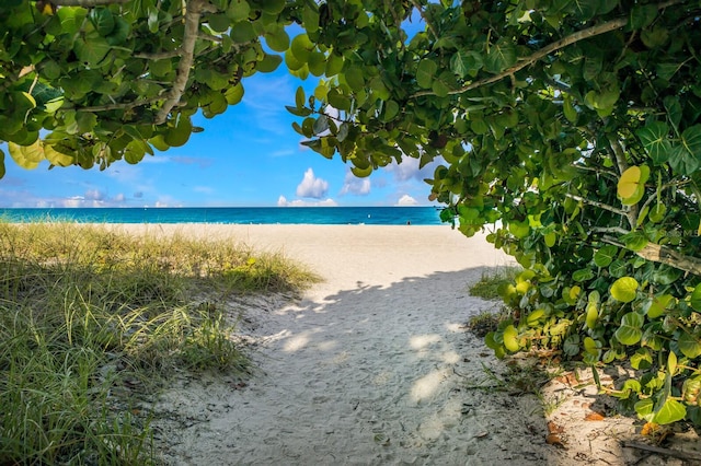 view of water feature with a beach view