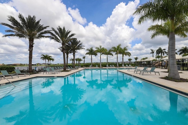 view of pool featuring a patio area