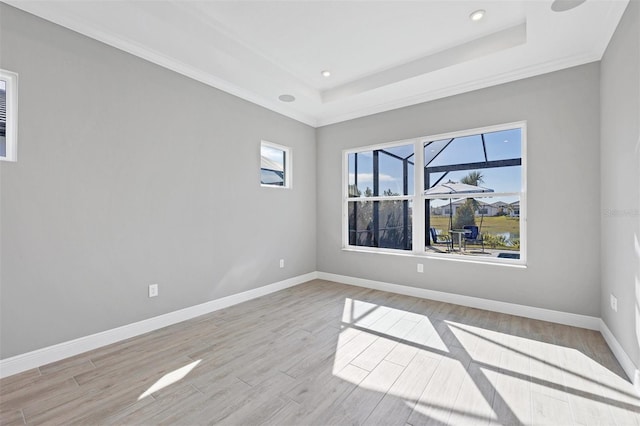 spare room featuring a raised ceiling, light hardwood / wood-style floors, and a wealth of natural light